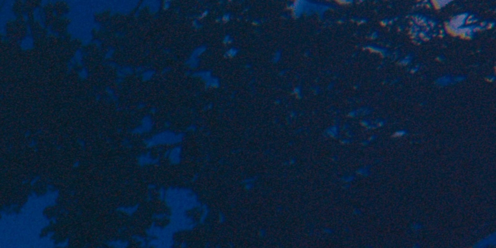 Fitz #08 — detalle
