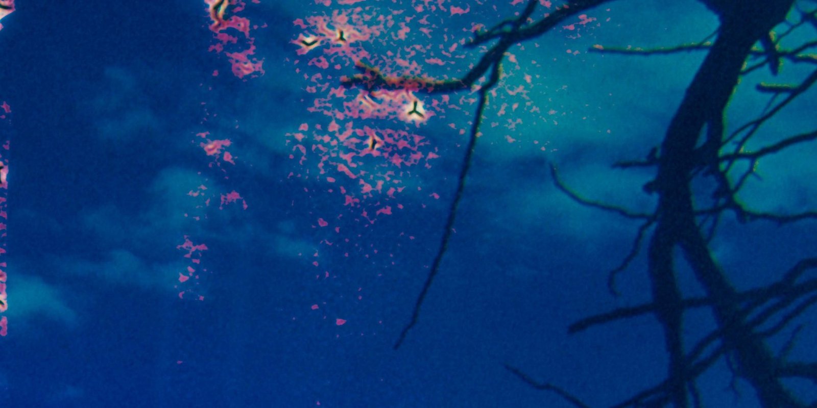 Fitz #07 — detalle