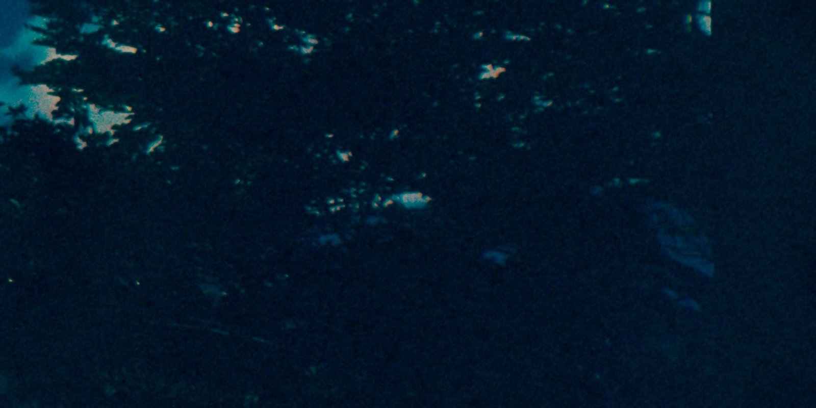 Fitz #09 — detalle