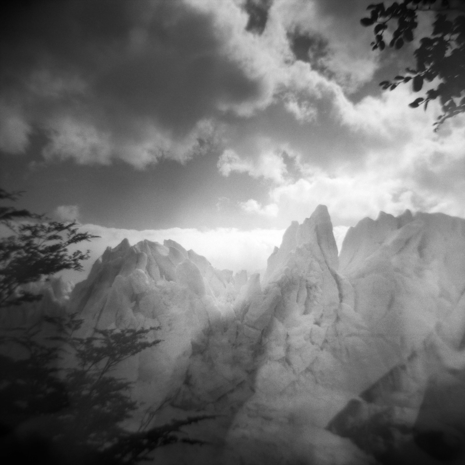 Glaciar Moreno #08