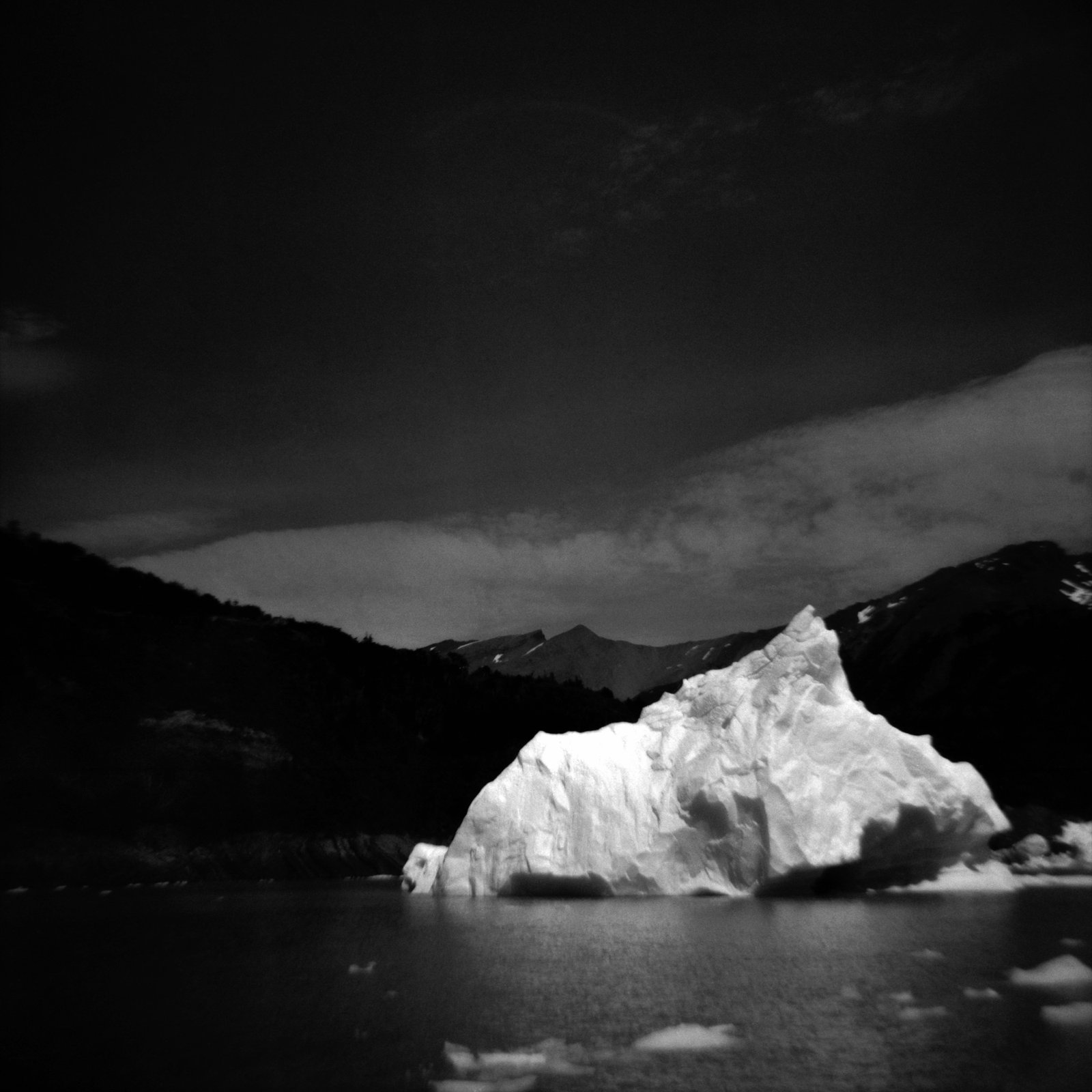 Glaciar Moreno #15