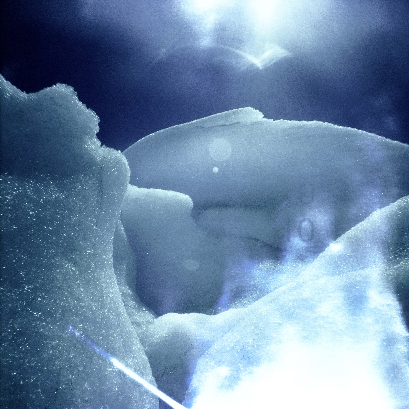 Glaciar Perito #08